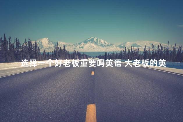 选择一个好老板重要吗英语 大老板的英文怎么写